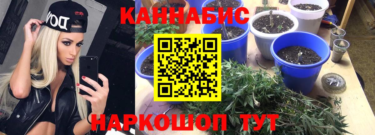 Каннабис семена  Вход с VPN  Бошки Шишки THC 21%  Людиново 