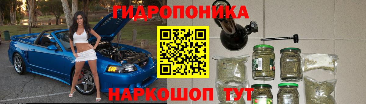 Марихуана сатива Людиново